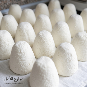 كيلو جميد بلدي